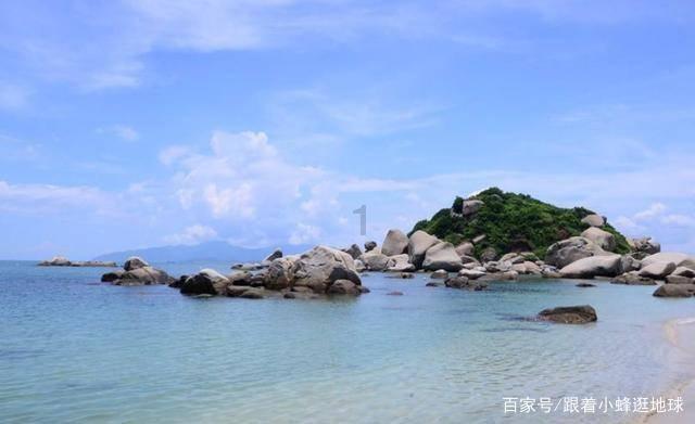 2017年河南菜农捡一凶鸟,专家:幸亏没放生,村民笑他错失500万